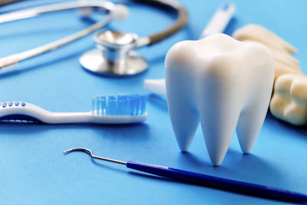 Best Dental Exams and Cleanings  in Trenton, FL